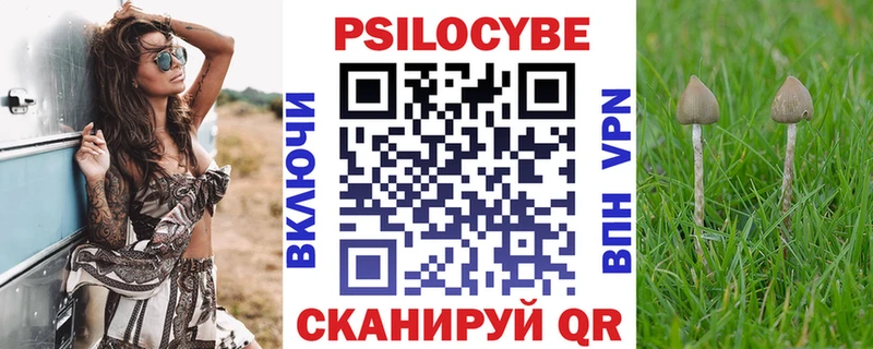 как найти закладки Ревда hydra сайт Псилоцибиновые грибы MAGIC MUSHROOMS